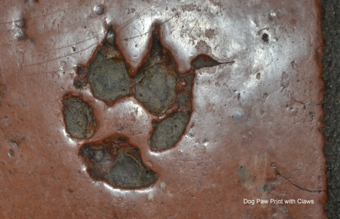 Large dog or wolf print in Saltillo tile
